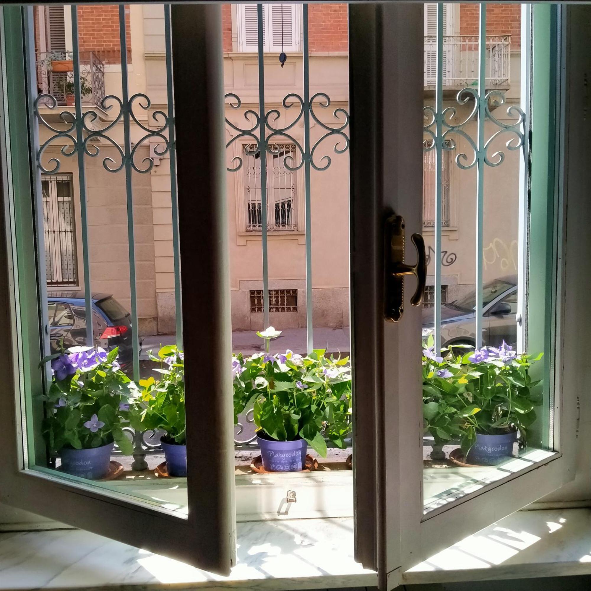 La Graziosa Torino, Porta Susa Ngoại thất bức ảnh